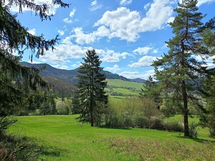 Fotografia z Rene Mrakava na trase