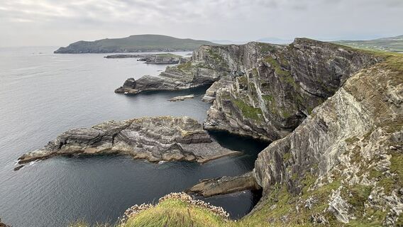 Fotografia z sagal na trase