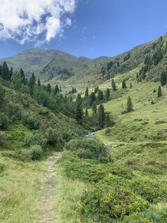 Photo de Koen De Wit le long du parcours