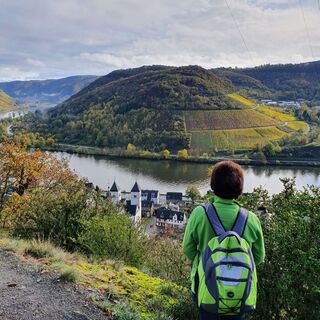 Blick vom Lenus-Mars-Weg auf Karden und die Mosel