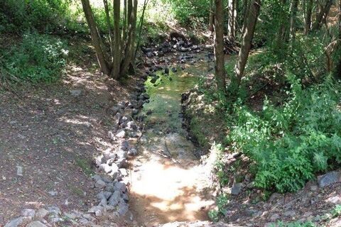 Bachlauf