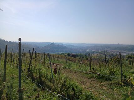 Fotografija s spletne strani Luca Dainese na poti