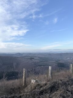 Foto de Justin Besting a lo largo del recorrido