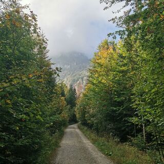 Foto von Márton Scheller entlang der Tour