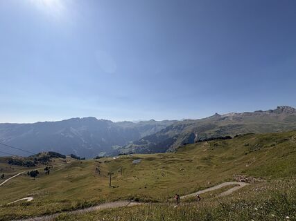 Foto von Stucki Sven entlang der Tour