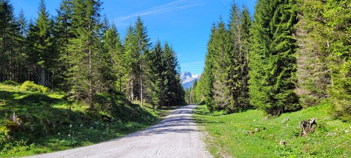 Photo de Helmuth Stangl le long du parcours