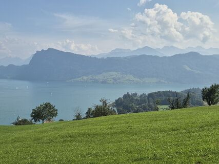 Foto von Thomi W entlang der Tour