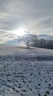 Foto de Volker Wagener a lo largo del recorrido