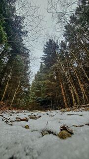 Foto fra Soma Gyimesi undervejs på turen