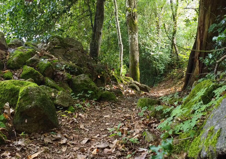chemin de Peuroche