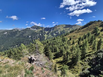 Fotografija s spletne strani josef duermoser na poti