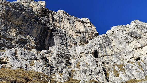 Fotografija s spletne strani Darija Forgač na poti