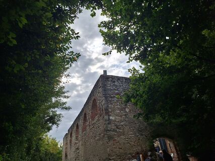 Foto de Marion Masilko a lo largo del recorrido