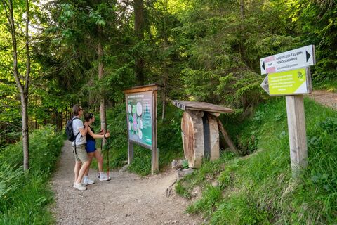 Sattelberghütte-7 © Christine Höflehner.jpg