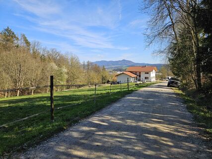 Fotografia z Preismarkus na trase