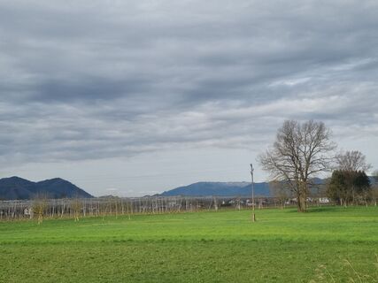 Foto von Grizli entlang der Tour