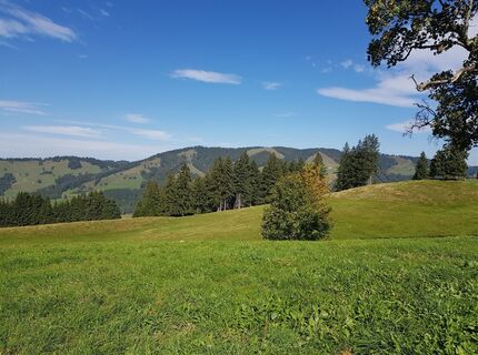 Foto de Peraus Sepo a lo largo del recorrido