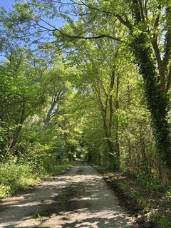 Photo de Martin Grambauer le long du parcours
