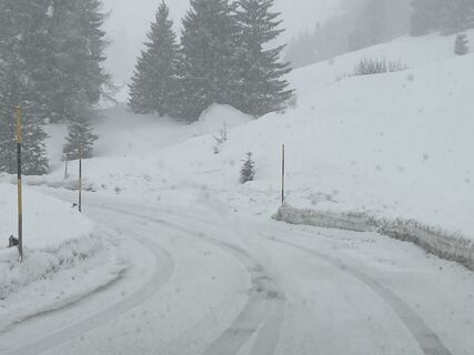 Foto de Sufandkids a lo largo del recorrido