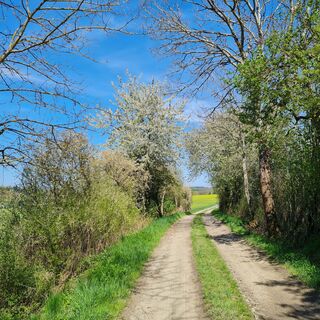 Oberkoskauer Mühlenweg