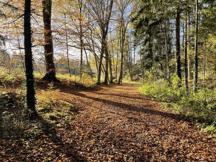 Photo de holgerwag le long du parcours