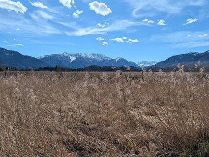 Foto von Da No entlang der Tour