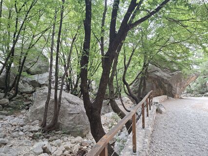 Photo de Edgar2912 le long du parcours