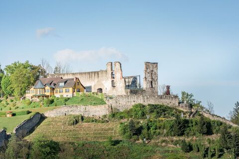 Blick auf die Burgruine Obervoitsberg