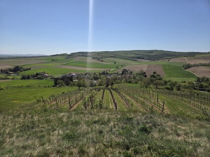 Foto de Viktoria Feigl a lo largo del recorrido