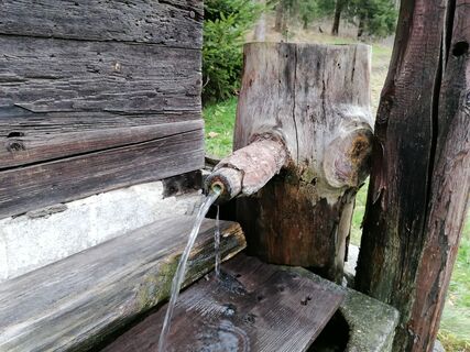 Foto von Wanderfux entlang der Tour