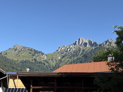 Foto von Grizzli entlang der Tour