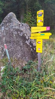 Photo from raurakl51 along the tour