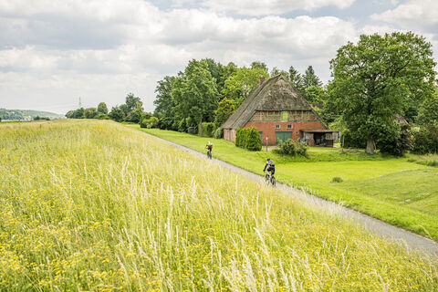 ​Elbdeich in Tespe