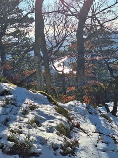 Photo de Mimi le long du parcours