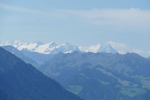 Blick zum Dreigestirn