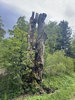 Foto von Lutz Hose entlang der Tour