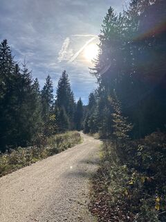 Fotografija s spletne strani Heinz Sperl na poti