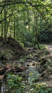Фото с сайта Jele Hannes во время экскурсии