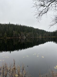 Foto von FriluftslivGoat entlang der Tour