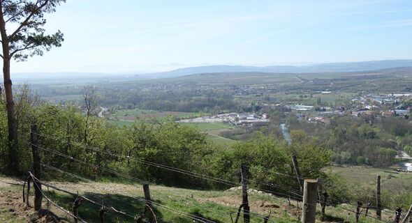 Ausblick vom Heiligenstein