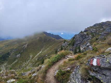 Fotografia z schenkeli na trase