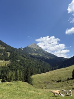 Fotografija s spletne strani Jürgen Winter 144 na poti