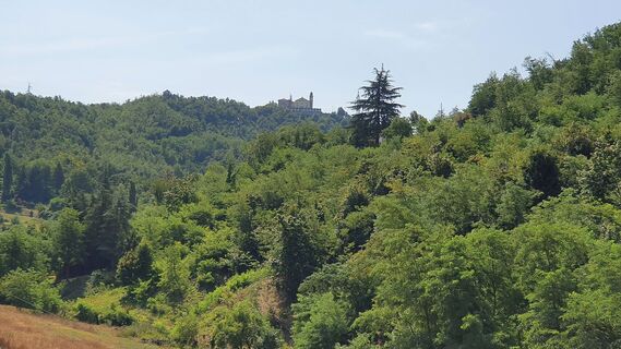 Monte Spineto