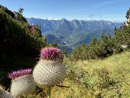 Fotografija s spletne strani Natur_erleben_dg na poti