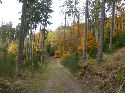 Der Weddel im Herbst
