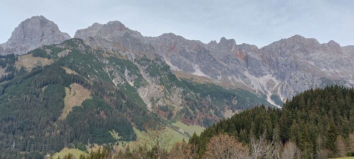 Photo de Waldfred le long du parcours