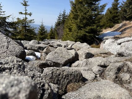 Fotografia z Natur_erleben_dg na trase
