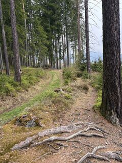 Fotografia z Mandy Friedrich na trase