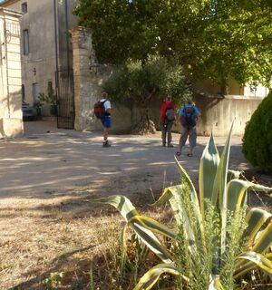Wanderung der Muscat-Schlösser von Lunel0006 ©CDRP34