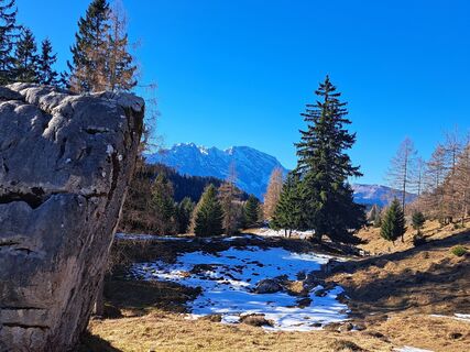 Fotografia z Walter Köllner na trase